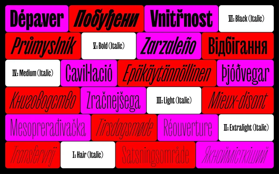 Typography