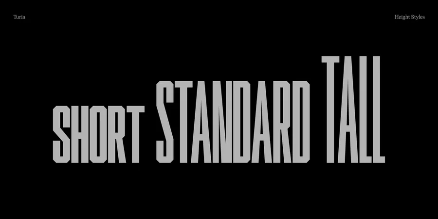 Typography