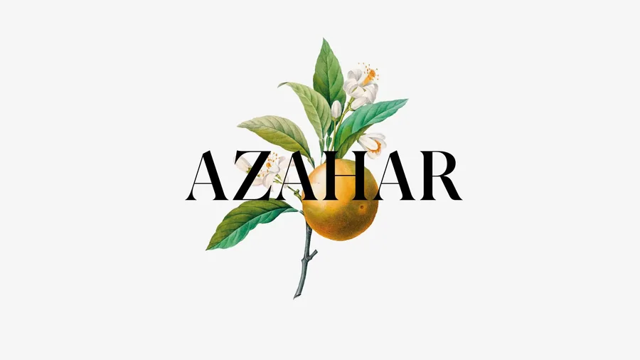 Typography
