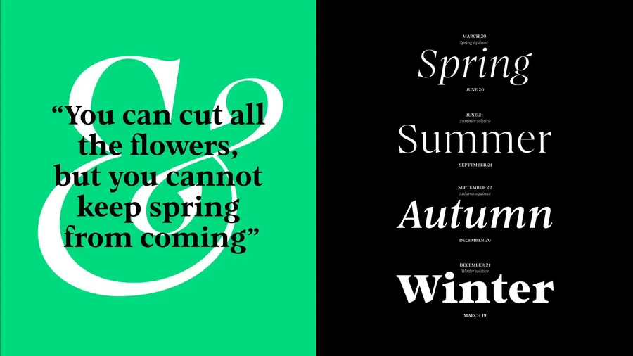 Typography