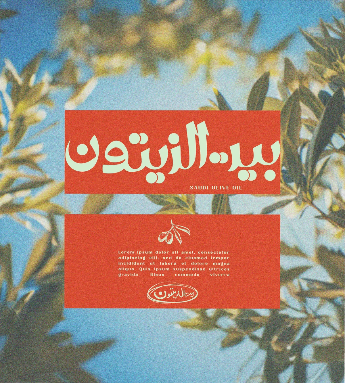Bait Al Zaitoon: the wordmark set against the olive grove