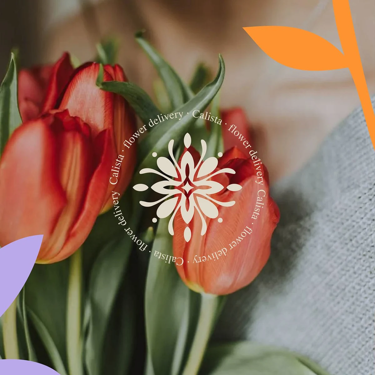 Calista: the circular lockup over tulips