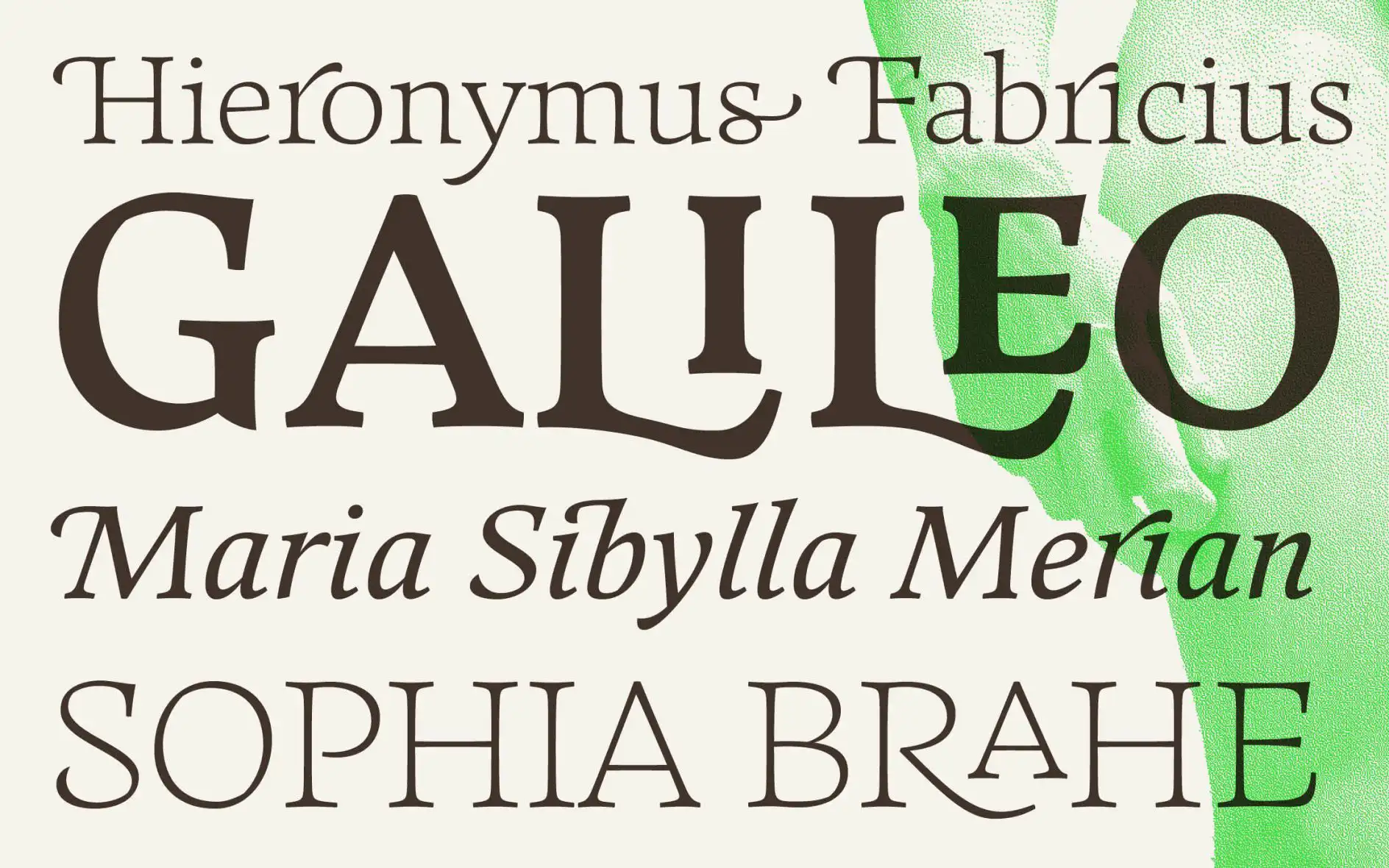 The Best New Typefaces of February 2025: Exploring Innovation in Typography 18 typeface