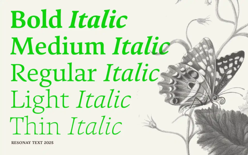 The Best New Typefaces of February 2025: Exploring Innovation in Typography 19 typeface