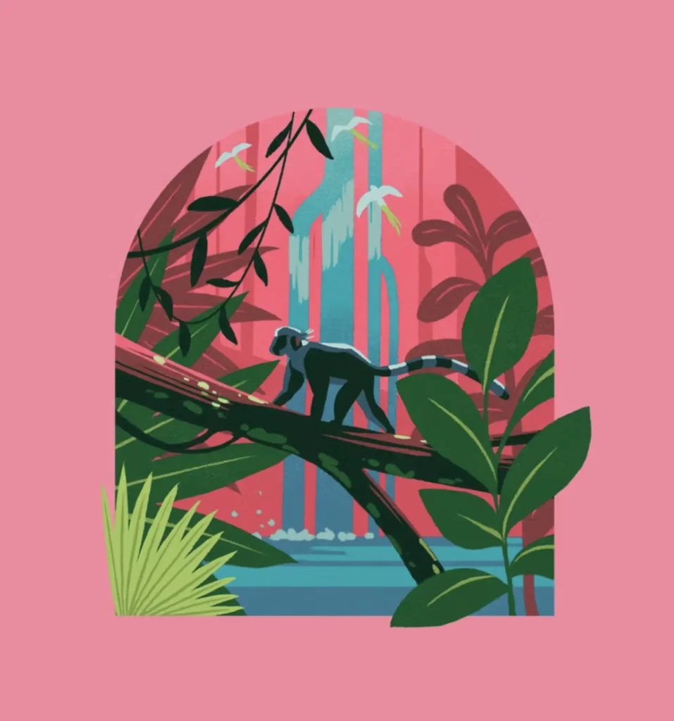 illustration